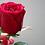 user7749